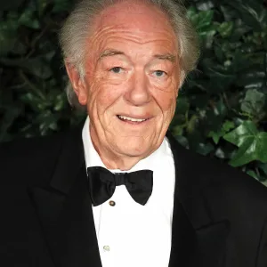 Michael Gambon